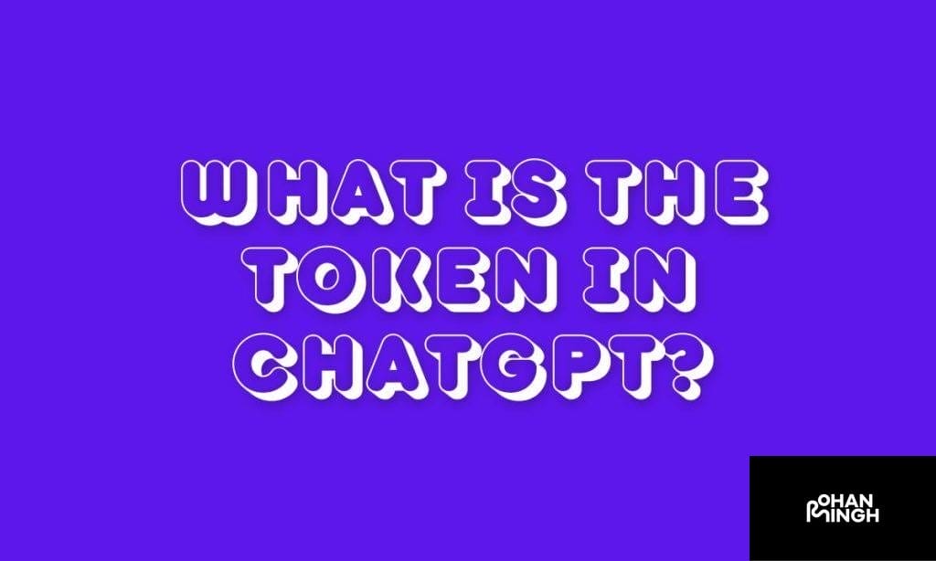 Understanding the Input and Output Tokens​