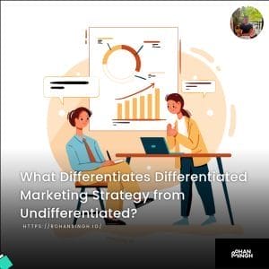 What Differentiates Differentiated Marketing Strategy from Undifferentiated?